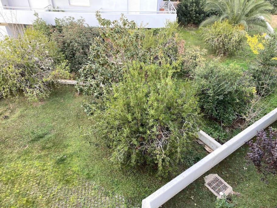 Spacious And Sunkissed 3Br & 2 Bathrooms Apartment أثينا المظهر الخارجي الصورة